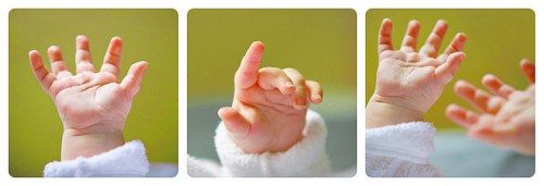 3027617933_26811dc054_z