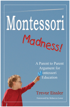 Montessorimadnessbookcover