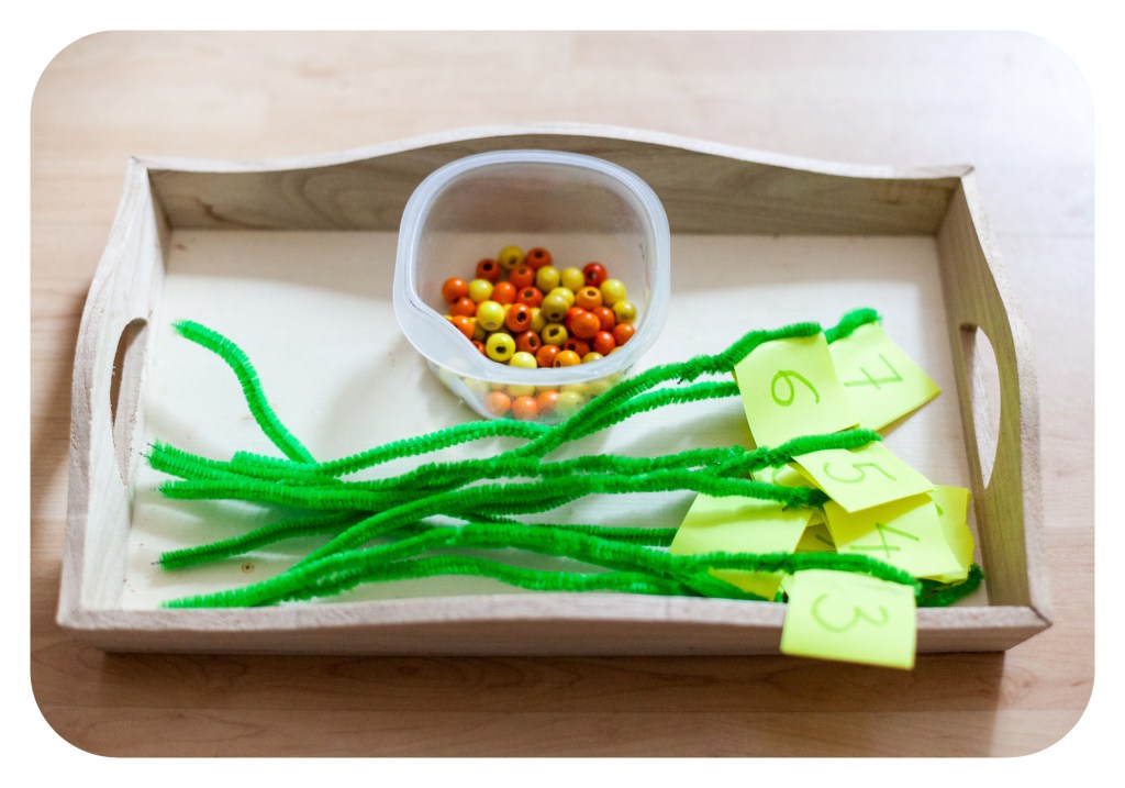 AS_2012.05.07_IMG_5767