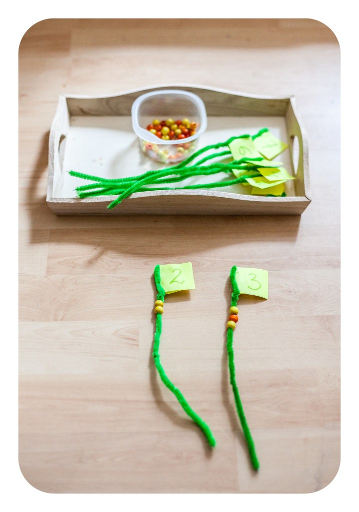 AS_2012.05.07_IMG_5770