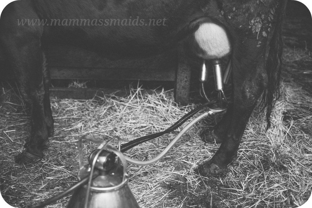 Siera-eksperiments-04r